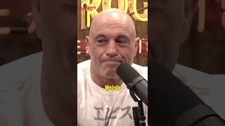 Joe Rogan Got Absolutely ROASTED By Elon Musks AI Friend [upl. by Niggem]