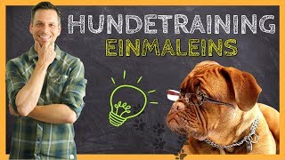 HUNDETRAINING Einmaleins  Grundlagen für eine ERFOLGREICHE Hundeerziehung [upl. by Eiralam136]