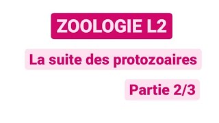 Zoologie L2  Chapitre quotles Sarcomastigophoraquot partie 12 [upl. by Akisej]