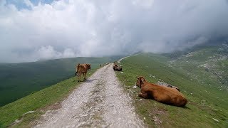 Crossing Picos de Europa  Indoor Cycling Training [upl. by Nahshun]