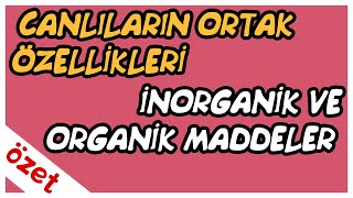 Canlıların Ortak Özellikleri  İnorganik ve Organik Maddeler Özet  TYT Biyoloji [upl. by Naasah]