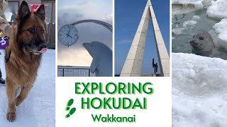 Exploring Hokudai  Wakkanai [upl. by Tressia]