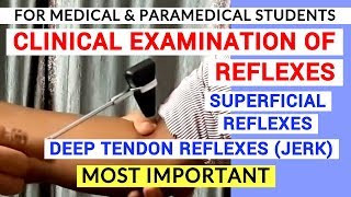 REFLEXES EXAMINATION  CLINICAL LAB  PHYSIOLOGY PRACTICALS [upl. by Ardnatal512]