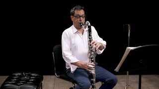 Instrument Bass Clarinet In Depth [upl. by Chapnick]