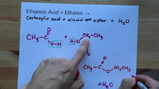 Ethanoic Acid  Ethanol   Ester Reaction [upl. by Misty]