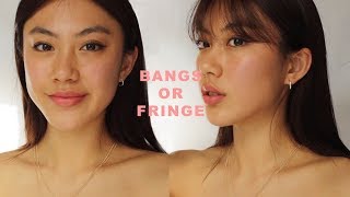 HOW I CUT FRINGE  BANGS  Haley Kim [upl. by Nnylkcaj]