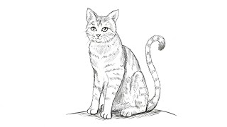 Comment dessiner un chat Tuto [upl. by Burkhard]