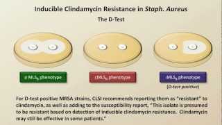 Antibiotic Resistance Antibiotics  Lecture 9 [upl. by Evelina]