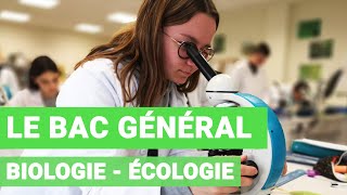 LE BAC GÉNÉRAL  SPÉCIALITÉ BIOLOGIE ÉCOLOGIE [upl. by Ellicec]