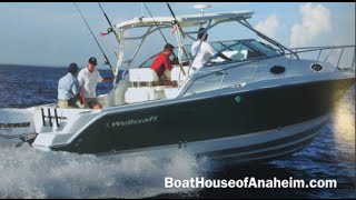 Wellcraft 290 Coastal 2006 Model Year with Twin Yamaha 250HP [upl. by Eelessej]