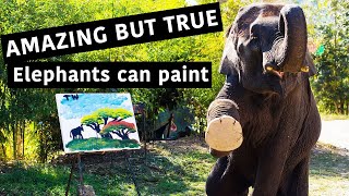 Paintings Made By Elephants in Thailand [upl. by Navarro131]