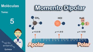 ¿Cómo determinar la POLARIDAD de las moléculas [upl. by Nnylrebma]