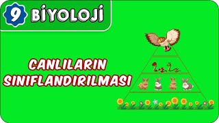 Canlıların Sınıflandırılması  9Sınıf Biyoloji [upl. by Sharma]