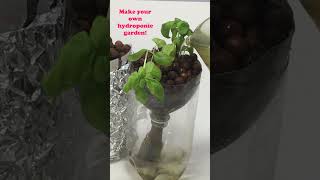 10 Awesome Plant Science Projects [upl. by Emery682]