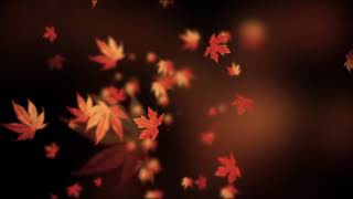 Autumn spinning backgrounds  loopable animation [upl. by Hedges196]