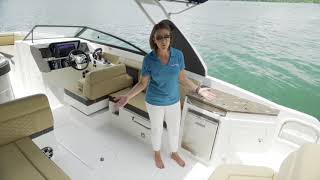 SDX 290 Outboard  Product Walkthrough  Sea Ray Boats [upl. by Aerdnna]