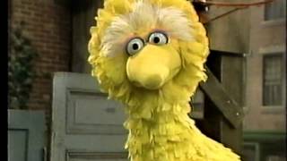 Classic Sesame Street  Big Bird The Grouch [upl. by Andriana]