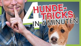 4 HUNDETRICKS in 4 MINUTEN [upl. by Eimile731]