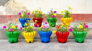 Make Beautiful Flower Baskets From Discarded Plastic Bottles  How to Grow portulaca [upl. by Dougal]