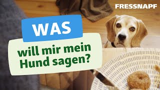 Körpersprache beim Hund  Hunde richtig verstehen [upl. by Lance342]