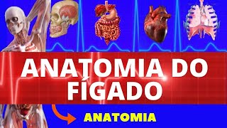 ANATOMIA DO FÍGADO ANATOMIA HUMANA  SISTEMA DIGESTÓRIO  TUDO SOBRE ANATOMIA DO FÍGADO [upl. by Wera]