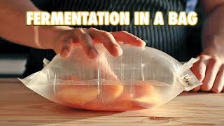 The Easiest Way To Ferment Any Fruit LactoFermentation [upl. by Nitsir254]