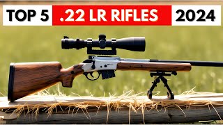 Top 5 BEST 22 LR Rifles In 2024 [upl. by German]