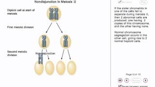 Chromosome Nondisjunction Animation [upl. by Murdocca]