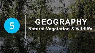 Natural Vegetation and Wildlife  Chapter 5 Geography NCERT class 9 [upl. by Marilee]