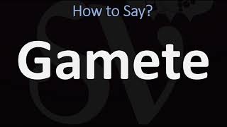 How to Pronounce Gamete CORRECTLY [upl. by Katrinka228]