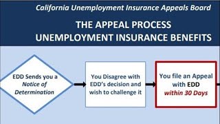 How to appeal an EDD denial of unemployment benefits  Dollars and Sense [upl. by Adnoral992]