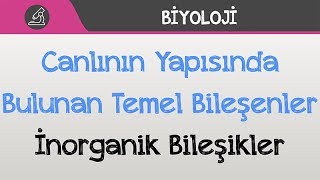 Canlının Yapısında Bulunan Temel Bileşenler  İnorganik Bileşikler [upl. by Jenny523]