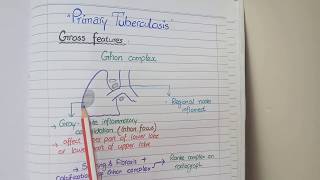 Tuberculosis Pathology  Primary and Secondary TB [upl. by Arhez]