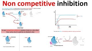 Noncompetitive inhibition derivation and physiological contex [upl. by Tterrag6]