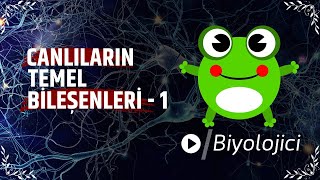 Canlıların Temel Bileşenleri  1 [upl. by Elish]