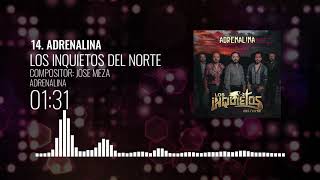 Los Inquietos Del Norte  Adrenalina [upl. by Joye]