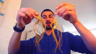 Health Benefits Of Ginseng [upl. by Sobel]