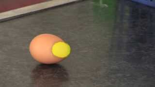 Egg Experiment to Demonstrate Inertia [upl. by Caitlin]