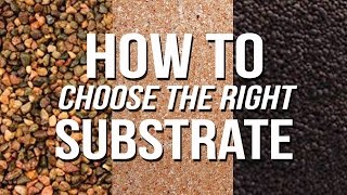 HOW TO Choose an Aquarium Substrate [upl. by Esineg]