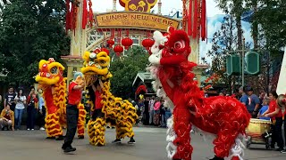 Dragon Dance  Disneyland Lunar New Year 2020 [upl. by Yrocaj801]