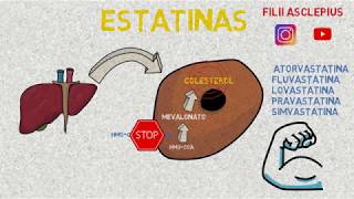 ESTATINAS [upl. by Philipp]