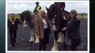 Blackstone Clydesdales Cumnock [upl. by Arlan]