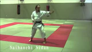 Naihanchi Shodan Nidan and Sandan  Ryukyu Shorin Ryu Karate Do Tesshinkan [upl. by Eno]