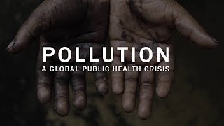 Pollution a global public health crisis [upl. by Keel]