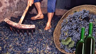 VINO artesanal a partir del PISADO DE LAS UVAS Elaboración tradicional de esta BEBIDA fermentada [upl. by Richards342]