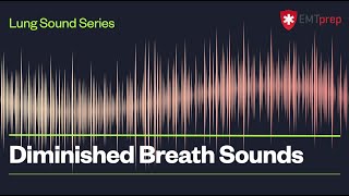 Diminished Breath Sounds  EMTprepcom [upl. by Cathee]