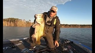 TOP 5 BIGGEST BASS CAUGHT IN TOURNAMENTS compilation [upl. by Leidag]