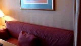 Zaandam Verandah Suite Stateroom Tour [upl. by Ernaldus]