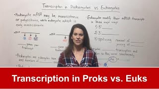 Transcription in Prokaryotes vs Eukaryotes [upl. by Ardith]