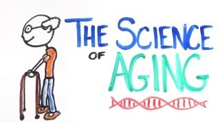 The Science of Aging [upl. by Cecily921]